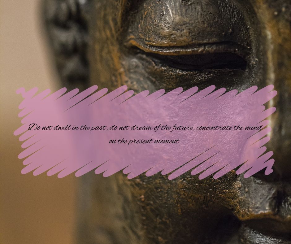 Serenity Within: A Path to Mindfulness